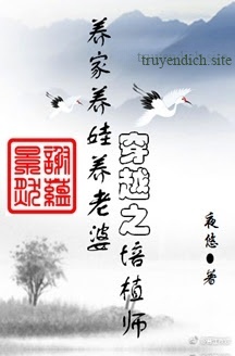 Xuyên Việt Chi Bồi Thực Sư