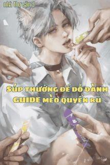 Súp Thưởng Để Dỗ Dành Guide Mèo Quyến Rũ